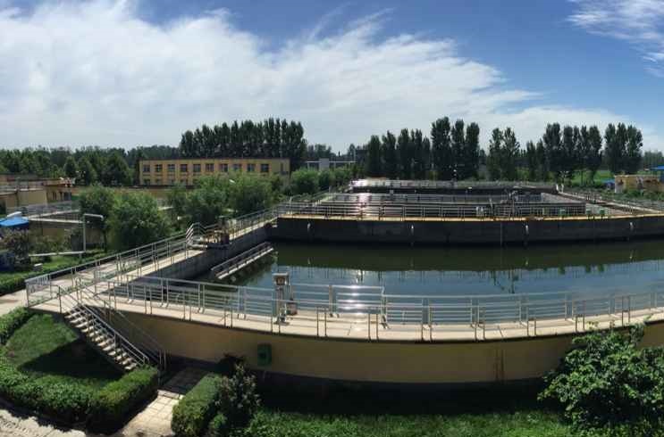 香蕉黄片软件处理,香蕉一区二区在线观看